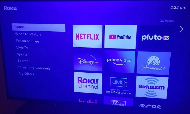 blue tint screen insignia tv