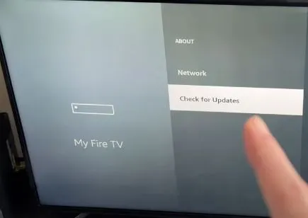 select check for updates for firmware update on Insignia Fire tv